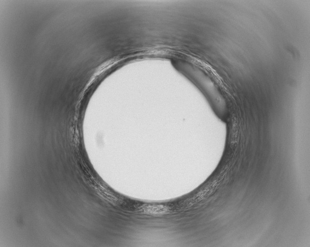 X0000114181168200911191301