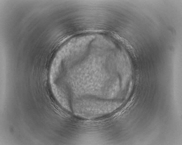 X0000114181169200911191301