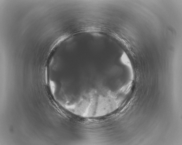 X0000114181171200911191301