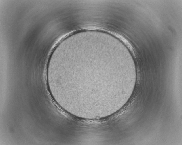 X0000114181191200911191301