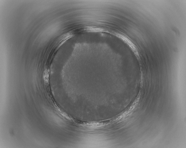 X0000114181193200911191301