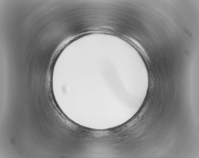 X0000114181196200911191301