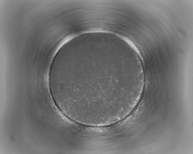 X0000114181197200911191301