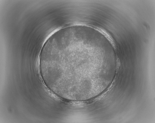 X0000114181198200911191301