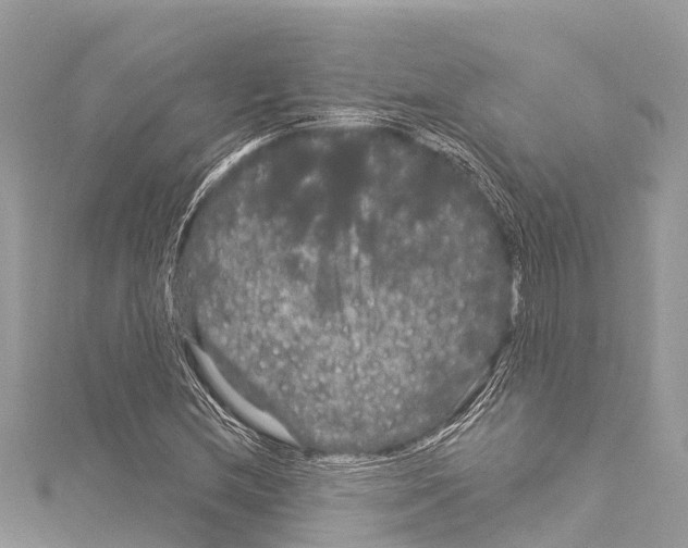 X0000114181212200911191300