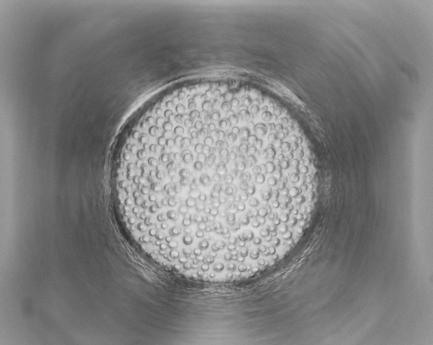 X0000114181216200911191300