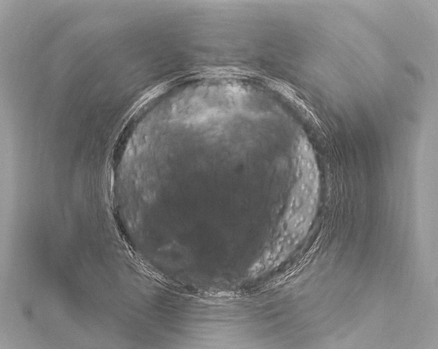 X0000114181221200911191301