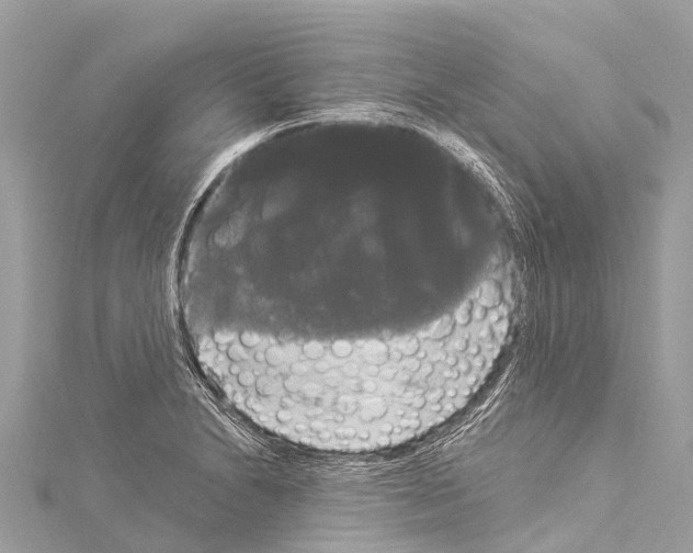 X0000114181230200911191301