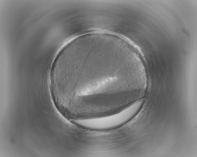 X0000114181239200911191301