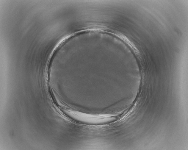 X0000114181240200911191301