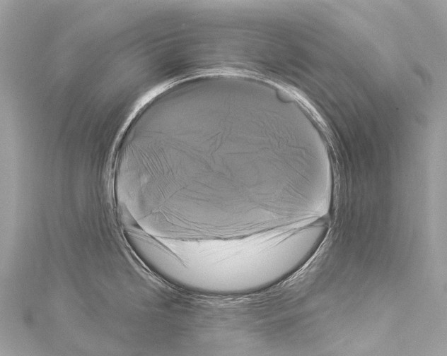 X0000114181246200911191301