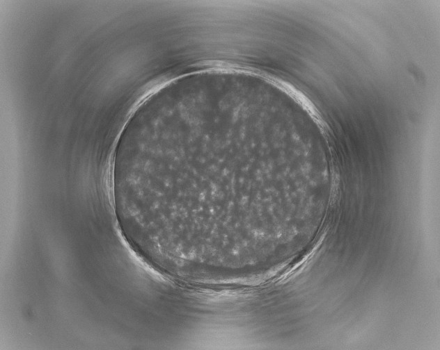 X0000114181247200911191301