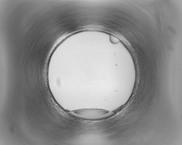 X0000114181248200911191301