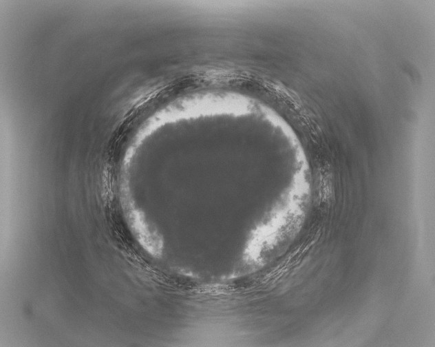 X0000114181253200911191300