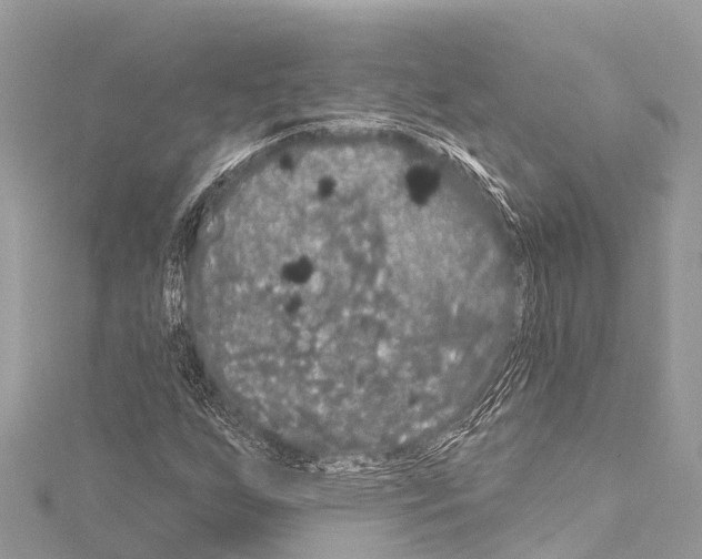 X0000114181255200911191300