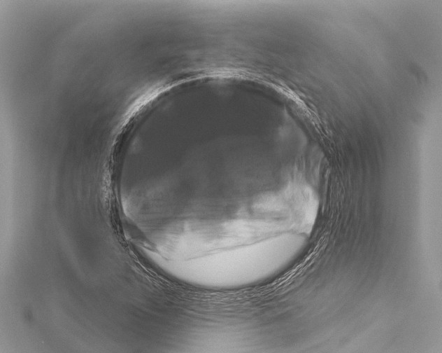 X0000114181263200911191300