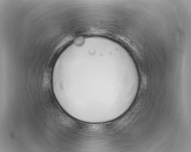 X0000114181266200911191300