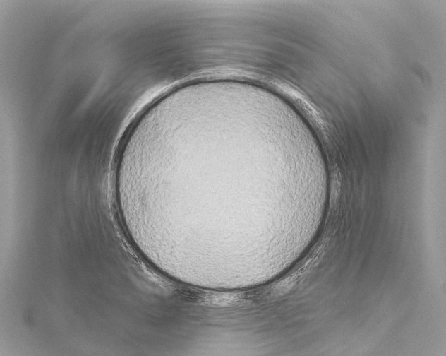 X0000114181278200911191300