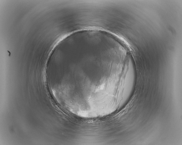 X0000114181279200911191300