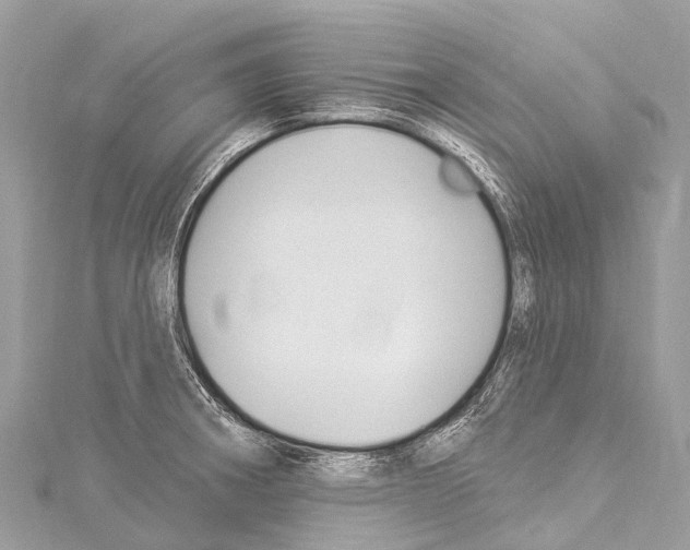 X0000114181282200911191300