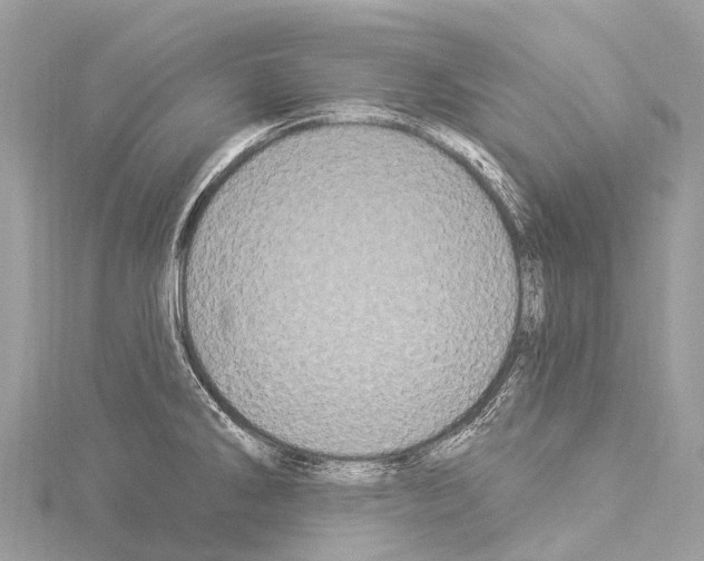 X0000114181286200911191300