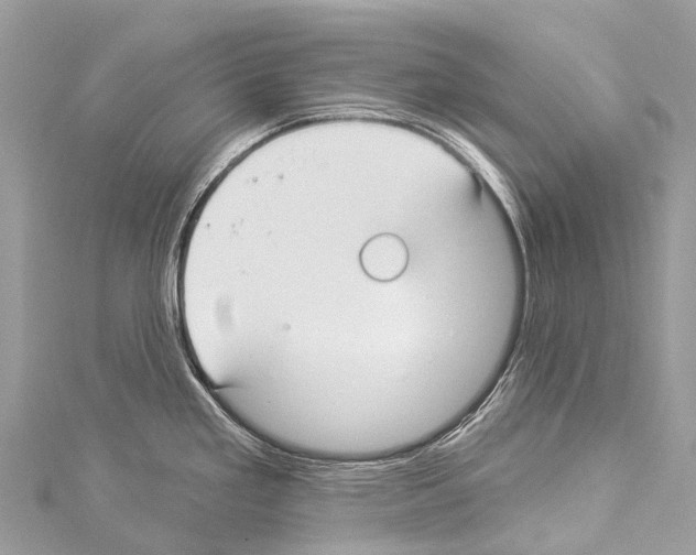 X0000114181293200911191300