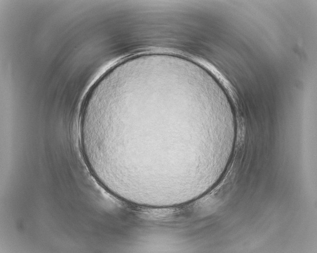 X0000114181294200911191259