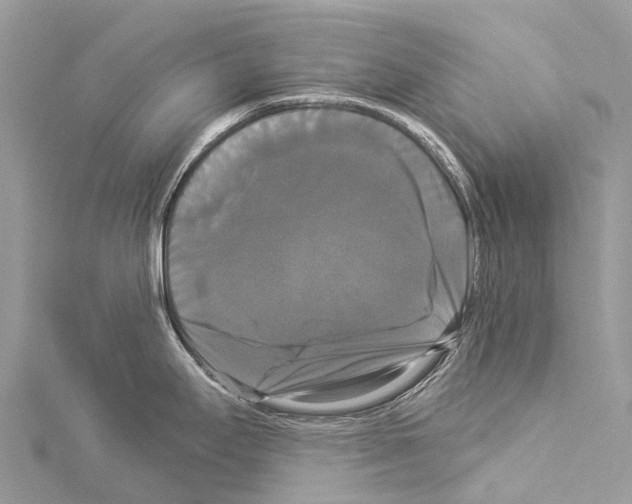 X0000114181295200911191259