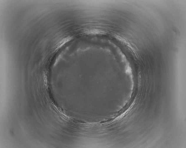 X0000114181305200911191259