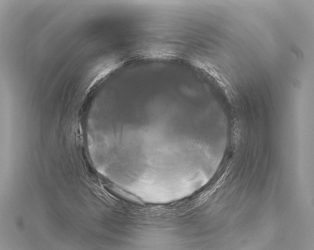 X0000114181306200911191259