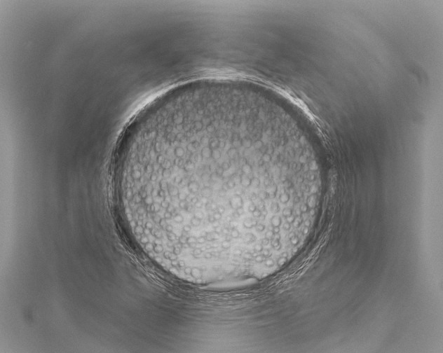 X0000114181311200911191259