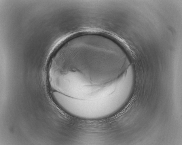 X0000114181319200911191259