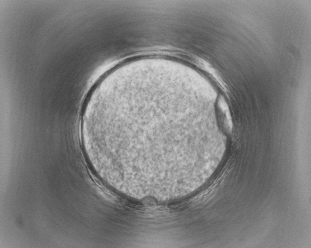 X0000114181320200911191259