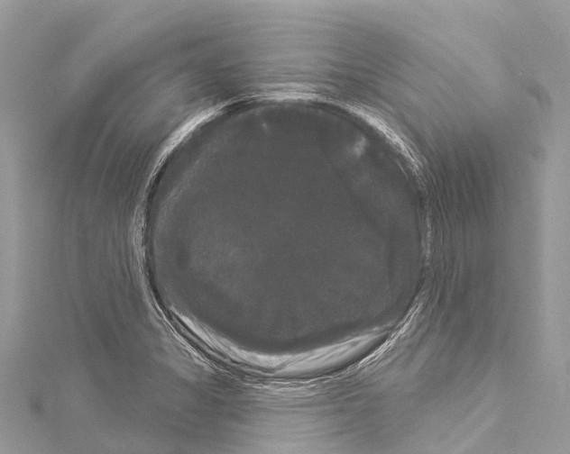 X0000114181325200911191259