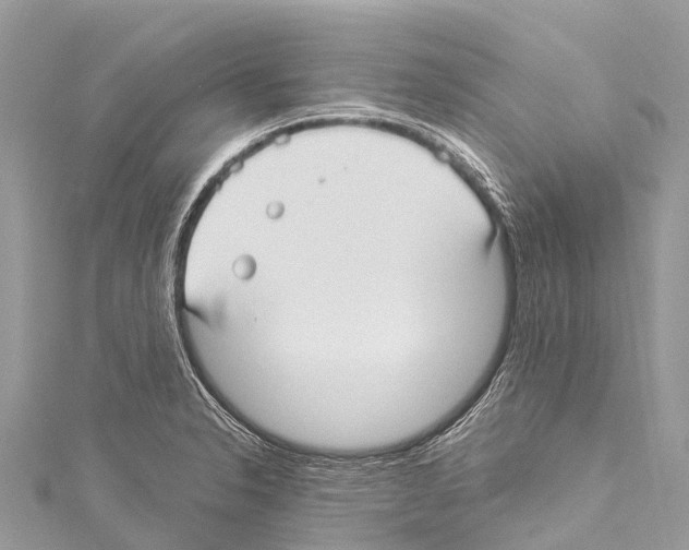 X0000114181326200911191259