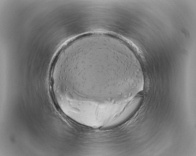 X0000114181327200911191259