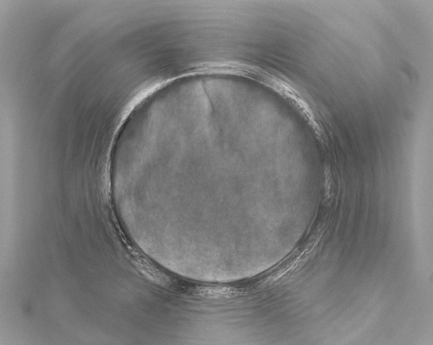 X0000114181328200911191259