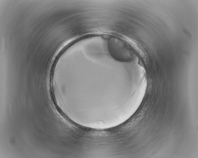 X0000114181331200911191259