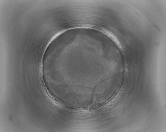 X0000114181332200911191259