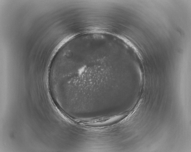 X0000114181333200911191259