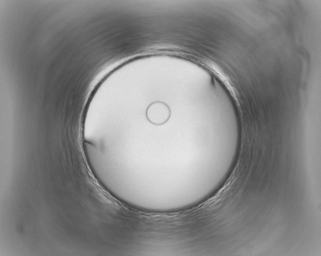 X0000114181336200911191259