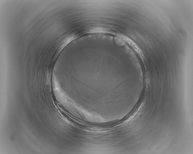 X0000114181337200911191259