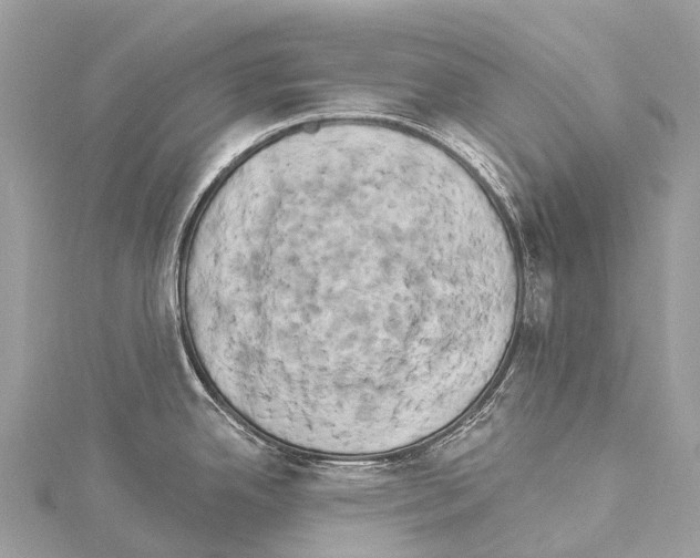 X0000114181342200911191259