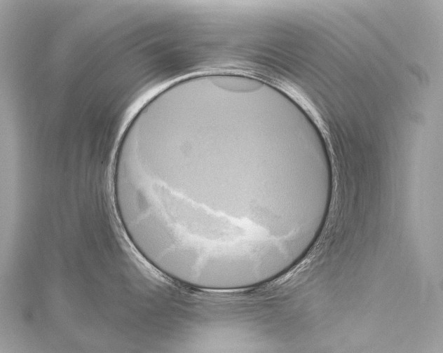 X0000114181344200911191259