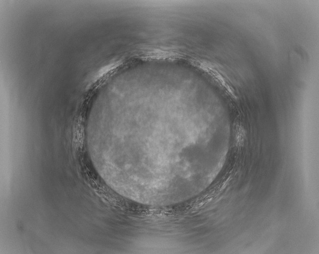 X0000114181350200911191259