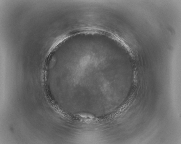 X0000114181352200911191259