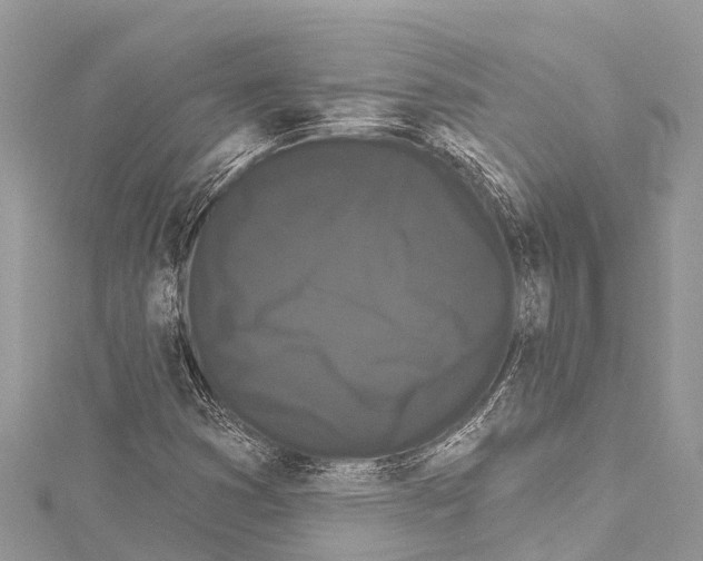 X0000114181353200911191259