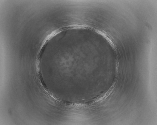 X0000114181357200911191259