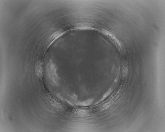 X0000114181361200911191258