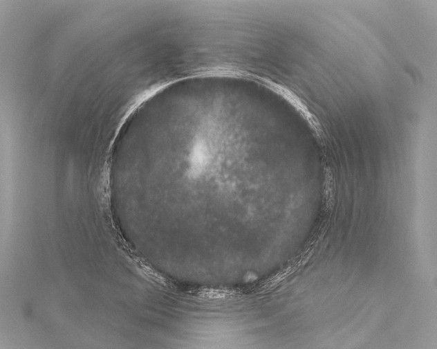 X0000114181364200911191258